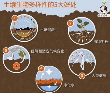 土壤檢測儀器工作原理：揭開土壤質(zhì)量的神秘面紗