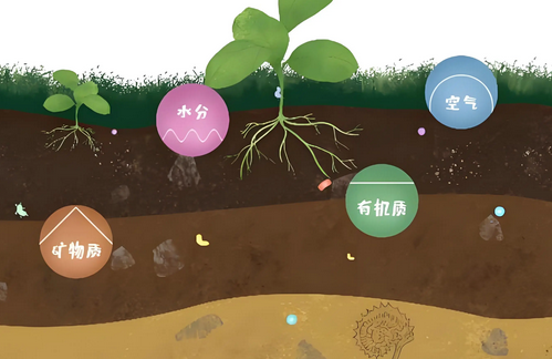 土壤檢測儀精準(zhǔn)檢測，助力農(nóng)業(yè)可持續(xù)發(fā)展